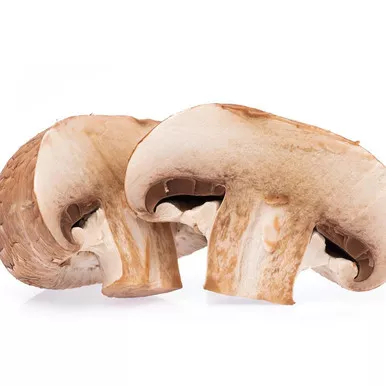 1/8" Sliced Portabella Mushroom (10#)