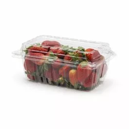 1 pound Berry Produce Container Vented- 400/Case