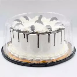 12" Cake Container for a 10" Cake - Deep Dome - 40/Case