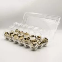 18 Coturnix Quail Egg Trifold Plastic Container - 200/Case