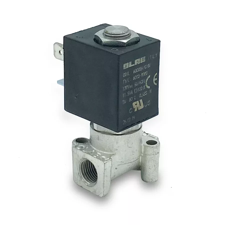 2-Way Solenoid Valve 110v