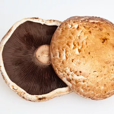 4/5" Portabella Mushroom (5#)
