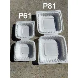 6" White Hinged Clamshell Takeout Containers - 250/Case
