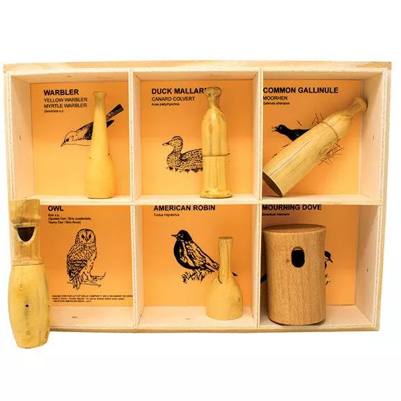 American Bird Selection