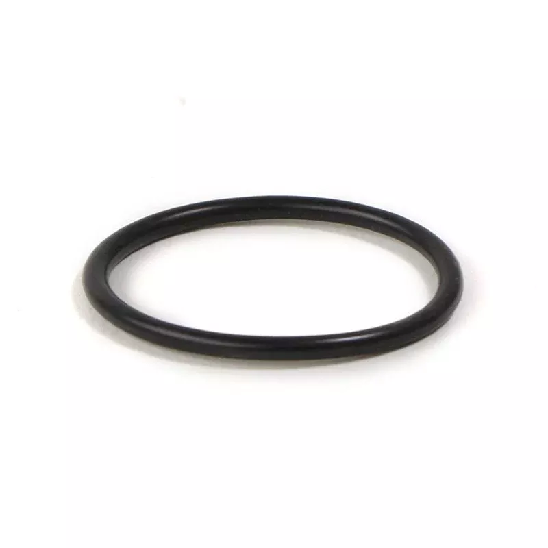 Astoria Plus4U Coffee Boiler Element Gasket - 12300040