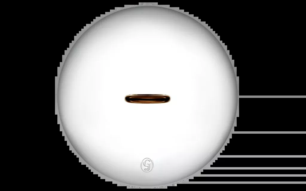 Big Lid