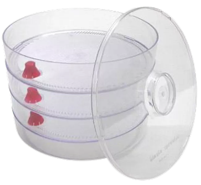 Biosta Sprouter - Three Tier Sprouter CLEAR