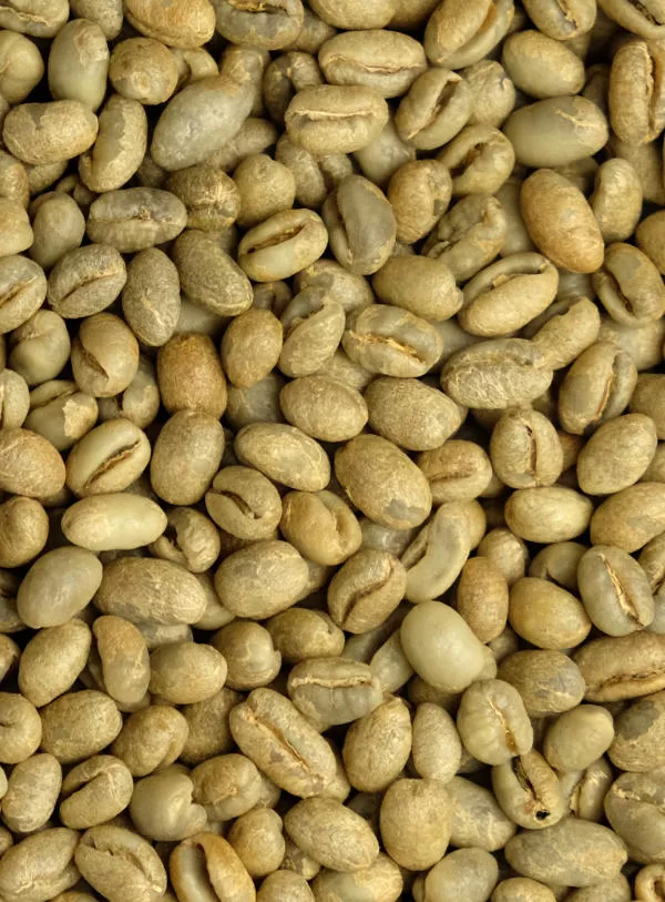 Bolivia Peaberry Organic