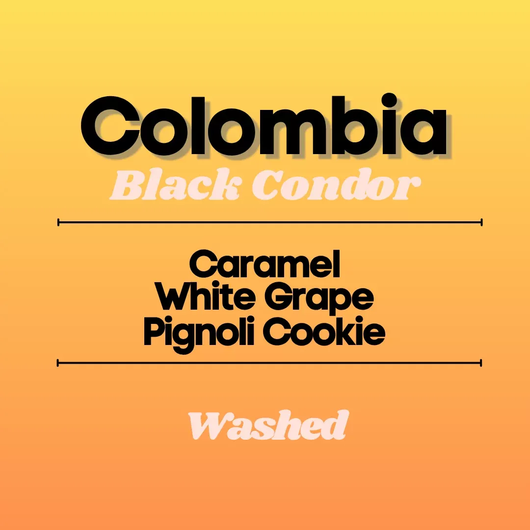 Colombia Black Condor