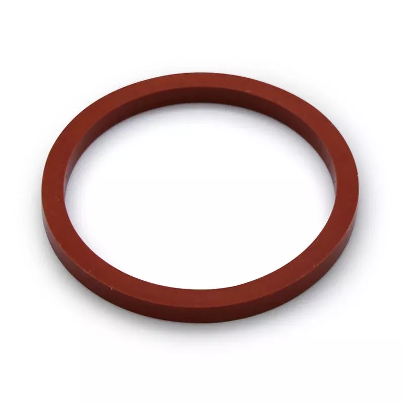 Elektra Mini Verticale Filterholder Gasket ø 64x55x5mm - 01963035