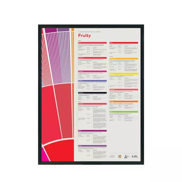 Flavor Perception in Coffee Poster – Fruity - SCA