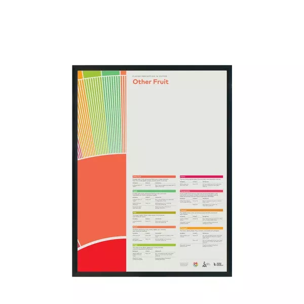 Flavor Perception in Coffee Poster – Other Fruit -SCA