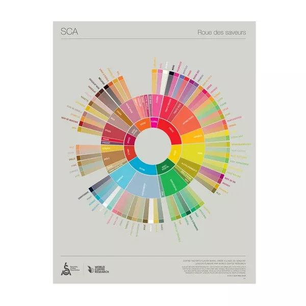 French - Coffee Taster's Flavor Wheel Poster -SCA