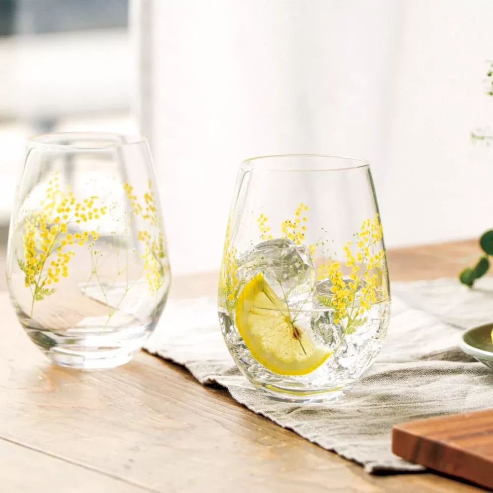 Hanafumi Pair Tumbler Set
