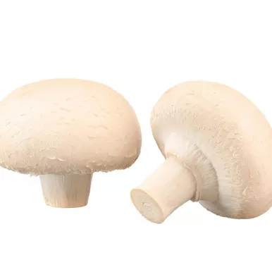 Petite White Button Mushroom (10#)
