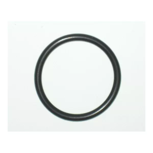 Simonelli Upper Piston O-Ring 43mm Master 02290020