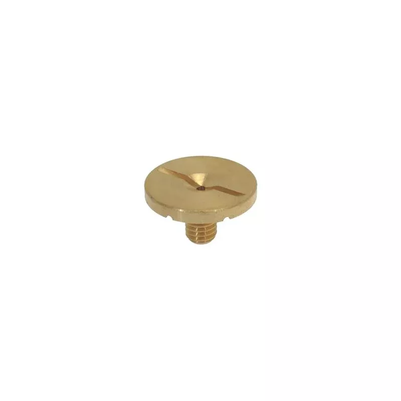 Small Thread Group Dispersion Screw