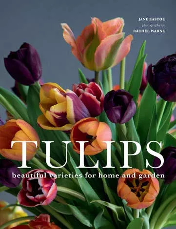 Tulips Hardcover Book