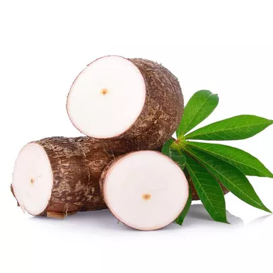 Yucca (1 Bshl)