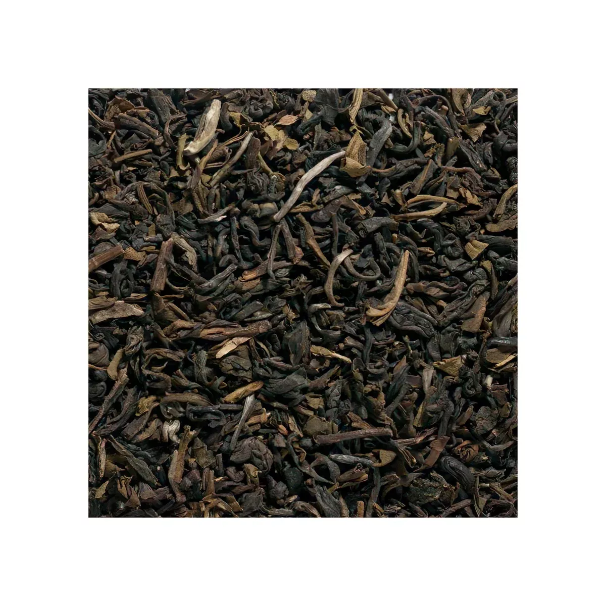 Yunnan Royal Large